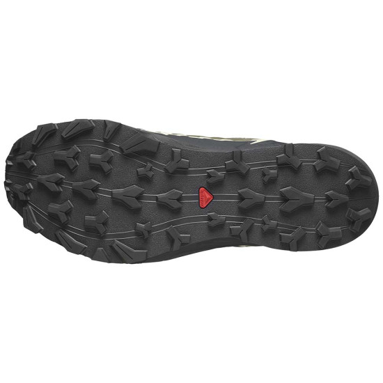 Salomon Thundercross GTX